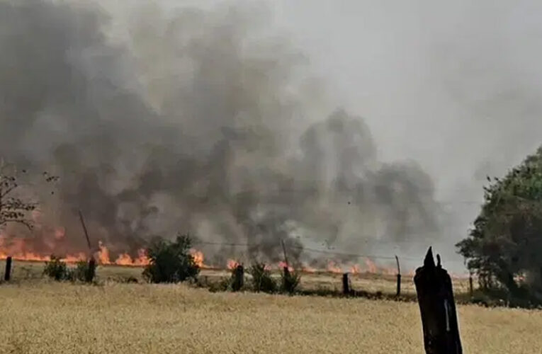 सागर जिले में नरवाई जलाने से फसलों को भारी नुकसान पहुंचा, जिले के अलग-अलग थानों में दर्ज हुई एफआईआर