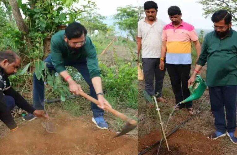 फिर से किसाने बने डिप्टी सीएम एकनाथ शिंदे, लगाए एवोकाडो के कई पौधे