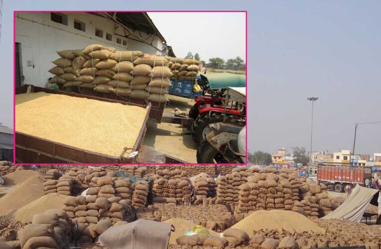 प्रदेश में अब तक 56 लाख मीट्रिक टन से अधिक हुई गेहूं खरीदी, 30 अप्रैल स्लाट बुकिंग की लास्ट डेट