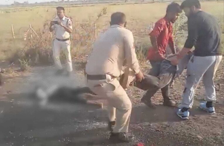 अज्ञात वाहन में स्विफ्ट घुसी, 4 की मौत,कार के परखच्चे उड़े, एक युवक फ्रंट ग्लास में फंसा; एयरबैग खुलने से भी बच नहीं पाए