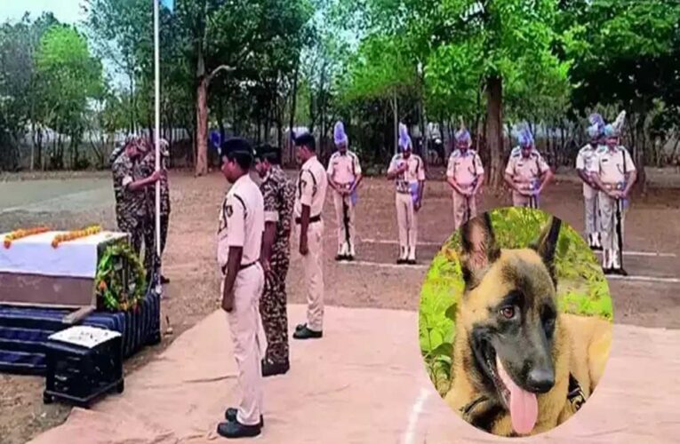 CRPF के लाल ‘रोलो’ ने मधुमक्खियों के हमले में दी शहादत, नक्सली ऑपरेशन में रही महत्वपूर्ण भूमिका