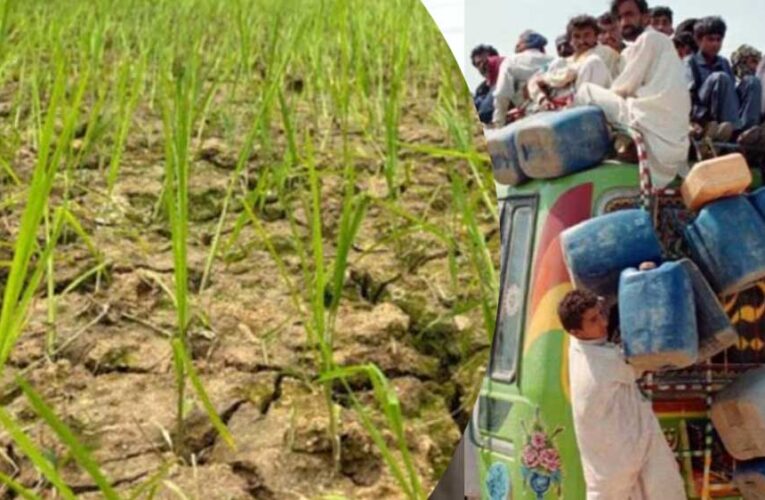 पाक को मिलने वाली आर्थिक मदद हुई कम, कुपोषण जैसे चुनौतियों से निपटने चल रहे कार्यक्रम पड़े कमजोर