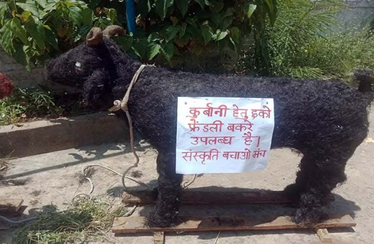 प्रदेश में हिंदू संगठन ने तैयार करवाए खास तरह के बकरे, मुस्लिमों से की ईको-फ्रेंडली बकरा ईद मनाने अपील