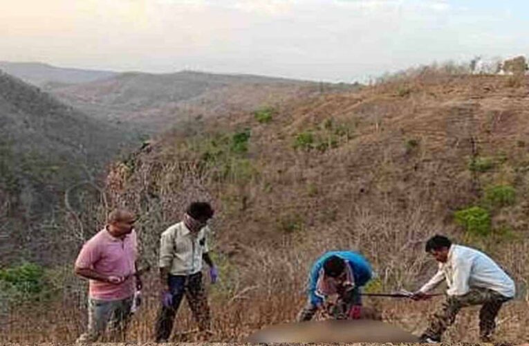 शाहपुर रेंज में वन अमले को एक बाघिन का शव मिलने से हड़कंप