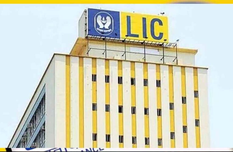 LIC की शॉपिंग… RIL, हीरो, टाटा समेत इन कंपनियों में खरीदे 47000 करोड़ रुपये के शेयर
