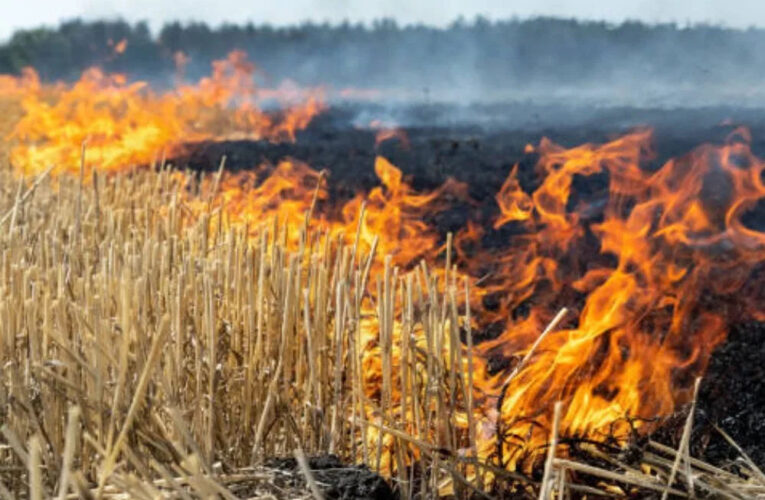 मध्य प्रदेश में इन किसानों को नहीं मिलेगा ‘किसान सम्मान निधि’ का पैसा, सरकार ने इस कारण से लिया निर्णय