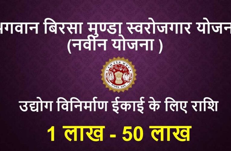 सपनों को पंख देती प्रदेश सरकार की भगवान बिरसा मुंडा स्वरोजगार योजना