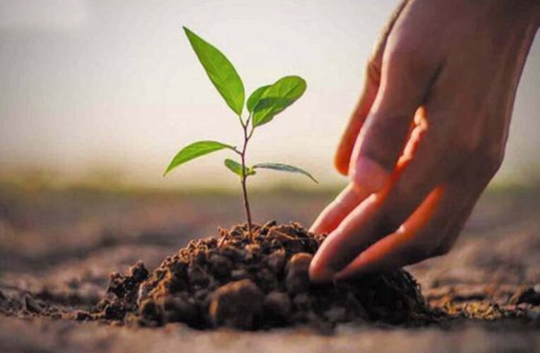 स्कूल शिक्षा विभाग 5 जून से एक पेड़ मां के नाम 2.0 अभियान तहत प्रदेशभर में 50 लाख पौधे लगाएगा