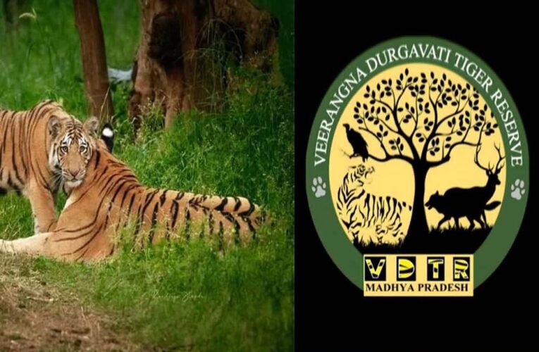 दमोह जिले की रेंज के 22 कर्मचारी वीरांगना दुर्गावती टाइगर रिजर्व से अटैच, अलग से बनाई जा रहीं तीन रेंज