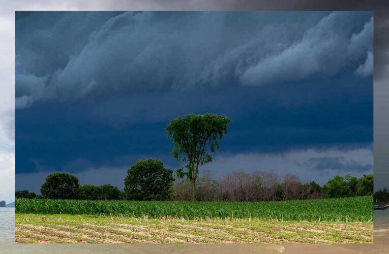 रायपुर में सुबह से बादल छाए, 24 घंटे में दुर्ग में सबसे ज्यादा 60 मिमी बारिश हुई, कोरबा-रायगढ़, मुंगेली जिले भीगेंगे