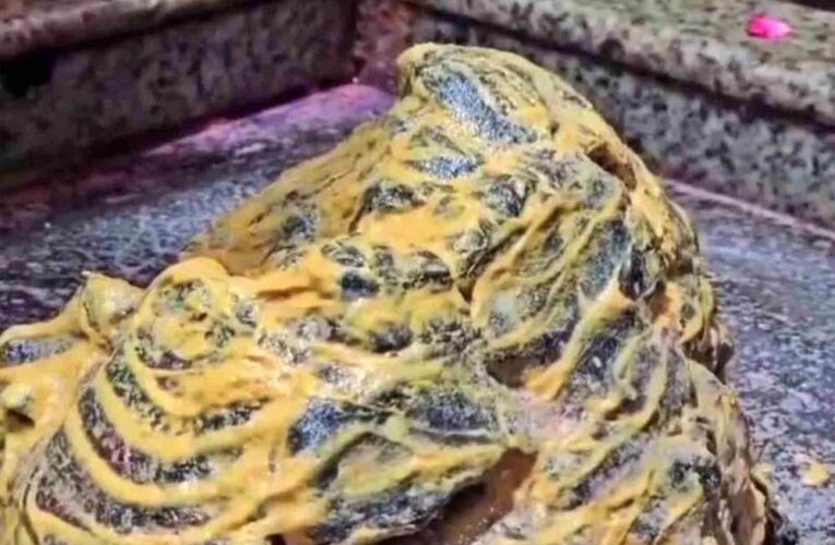ओंकारेश्वर में दर्शन व्यवस्था में बदलाव, अब VIP दर्शन केवल प्रोटोकॉल के तहत