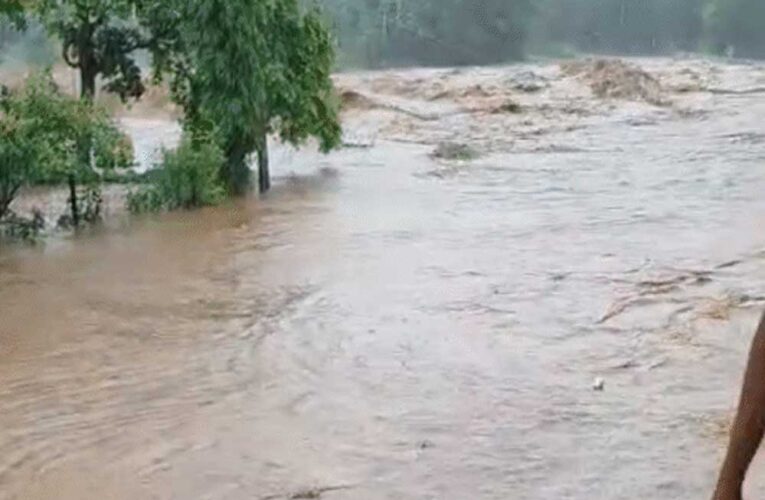 मध्यप्रदेश में तेज बारिश का दौर जारी, बाणसागर के 8, सतपुड़ा डैम के 5 गेट  खुले