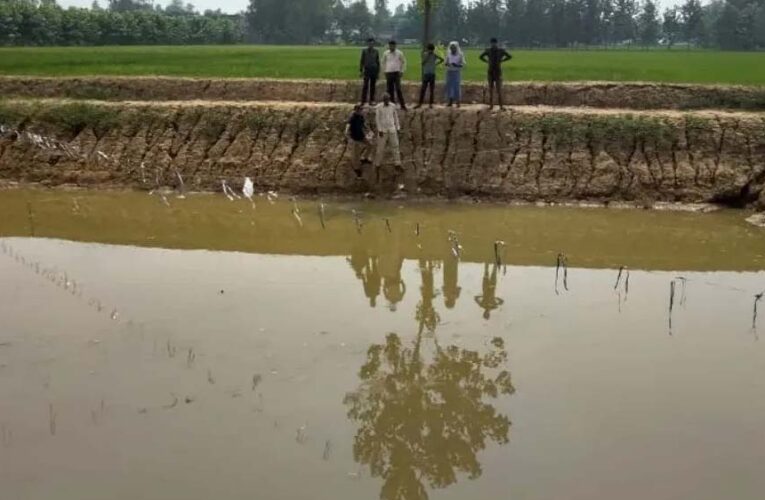 सीहोर में जल संरक्षण की बड़ी पहल: 1491 खेत तालाब और 2519 डगवेल रिचार्ज से बदले हालात
