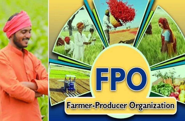एफपीओ को सीधे बाजार से जोड़ने के लिये बायर-सेलर मीट वर्कशॉप में आए महत्वपूर्ण सुझाव
