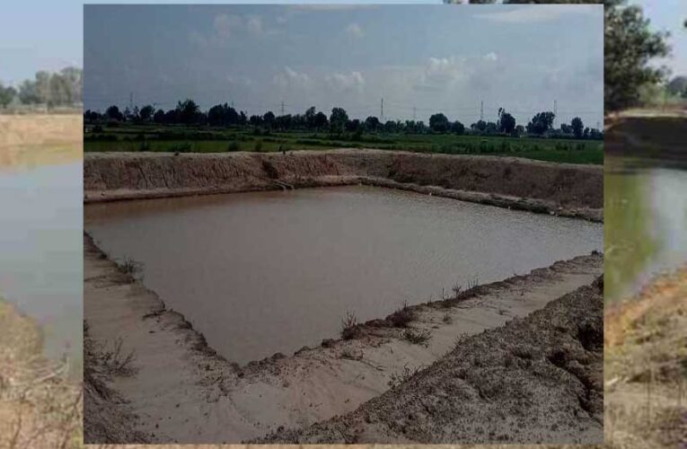 मध्यप्रदेश में जल क्रांति, बढ़ेगा सिंचाई का रकबा और भू-जल स्तर में होगी वृद्धि