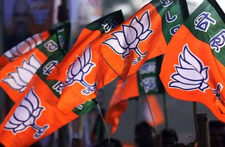 एमपी निकाय उपचुनाव में भाजपा का जलवा, छह सीटों पर दर्ज की जीत