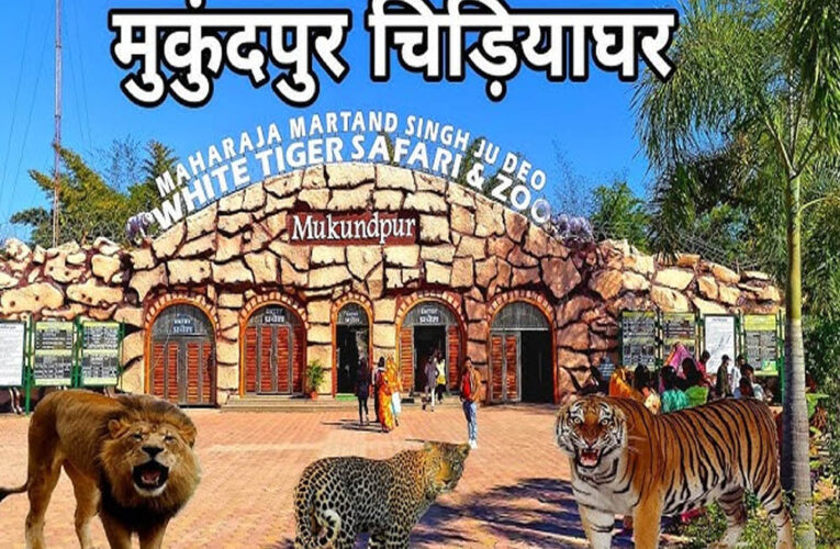 मुकुंदपुर टाइगर रिजर्व को रीवा में शामिल करने पर MP में सियासी हलचल