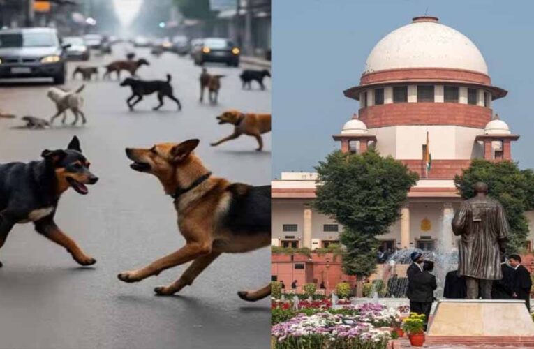 बच्चे मर रहे हैं… सुप्रीम कोर्ट में डॉग लवर्स पर भड़के SG तुषार मेहता
