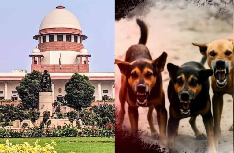 शेल्टर होम में सिर्फ आक्रामक कुत्ते रखे जाएंगे, बाकी को छोड़ा जाएगा: सुप्रीम कोर्ट