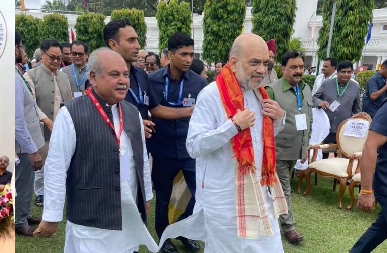 लोकतंत्र केवल शासन पद्धति नहीं, बल्कि जीवन की आत्मा है : तोमर