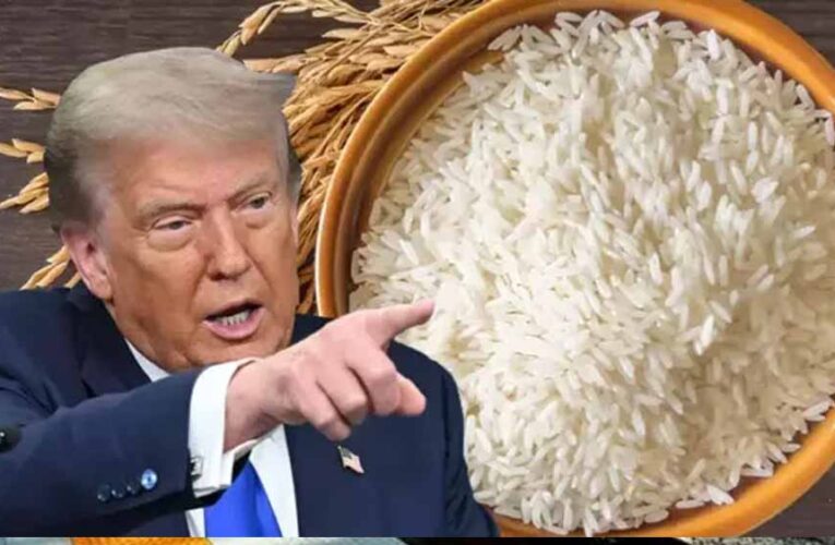 ₹48 लाख की चावल डील अटकी, एशियाई देश ने ट्रंप को दिया बड़ा झटका