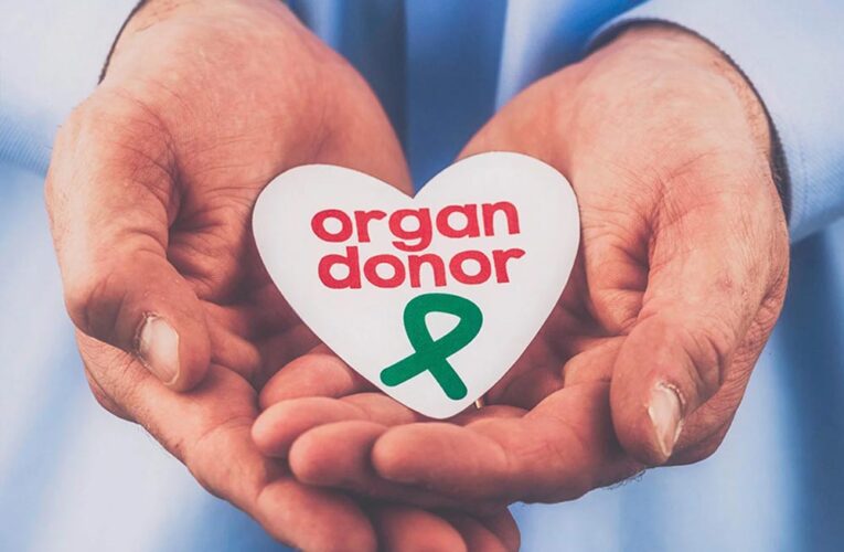 अब मेडिकल कॉलेजों में भी संभव होगा ब्रेन-डेड मरीजों से अंगदान, महिलाओं को मिलेगी वेटिंग लिस्ट में प्राथमिकता