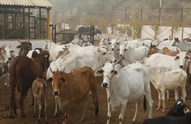 रायपुर : छत्तीसगढ़ में ‘गौधाम योजना’ की शुरुआत – पशुधन सुरक्षा, नस्ल सुधार और ग्रामीण अर्थव्यवस्था को मिलेगा संबल