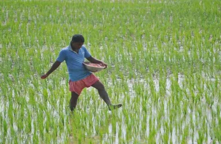 कृषि क्षेत्र को नया आयाम दे रही योगी सरकार