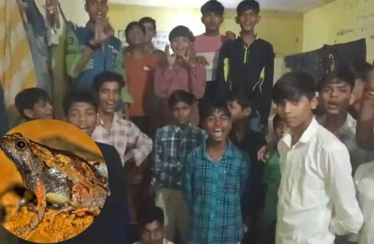 एमपी के आदिवासी हॉस्टल में लापरवाही! खाने की सब्जी में निकला मरा मेंढक