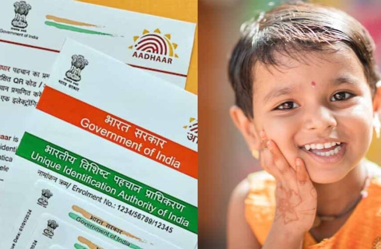 विद्यार्थियों की अनिवार्य बायोमेट्रिक अपडेट स्थिति अब UDISE+ पोर्टल में स्कूल प्राचार्यों के लिए उपलब्ध