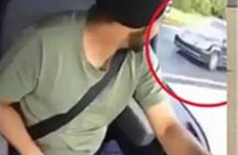 अमेरिका में संकट में भारतीय ड्राइवर, लाखों पंजाबी फंसे मुश्किल में; मोदी सरकार से मदद की पुकार