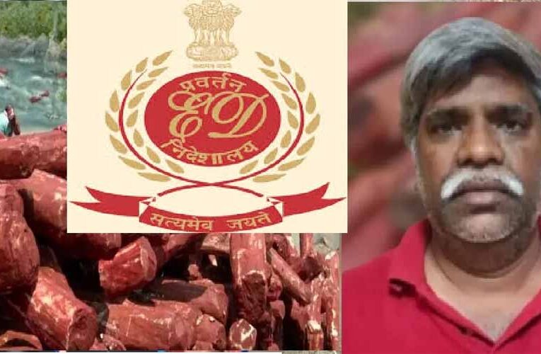 लाल चंदन तस्करी: ED ने अब्दुल जाफर की 8.6 करोड़ की संपत्ति कुर्क की