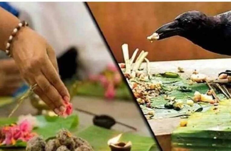 श्राद्ध में कौवे ने नहीं लिया भोग? जानें पंचबलि भोग का महत्व और सही तरीका