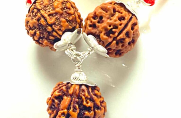 सर्वविध कल्याणकारी है रुद्राक्ष-कवच