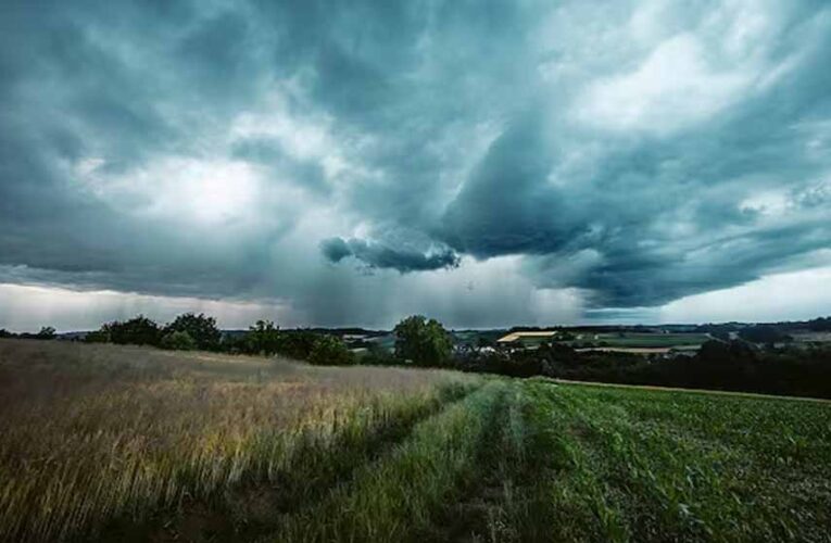 सितंबर में सामान्य से ज्यादा बरसात, किसानों को इन फसलों पर रखनी होगी नजर