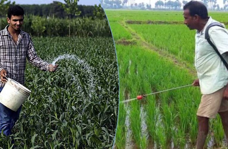 MP में खेती का रकबा घटा, लेकिन रासायनिक खाद की खपत पहुंची रिकॉर्ड स्तर पर
