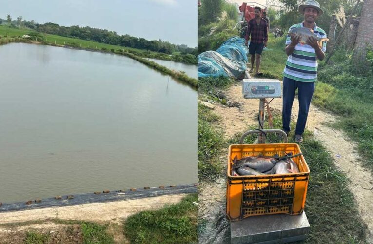 मिशन शक्ति से मिली प्रेरणा, तालाब से बदली जिंदगी