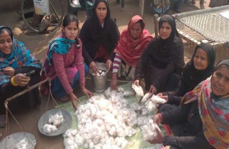 शाहजहांपुर की नेहा कश्यप ने मशरूम खेती से रचा स्वावलंबन का कीर्तिमान