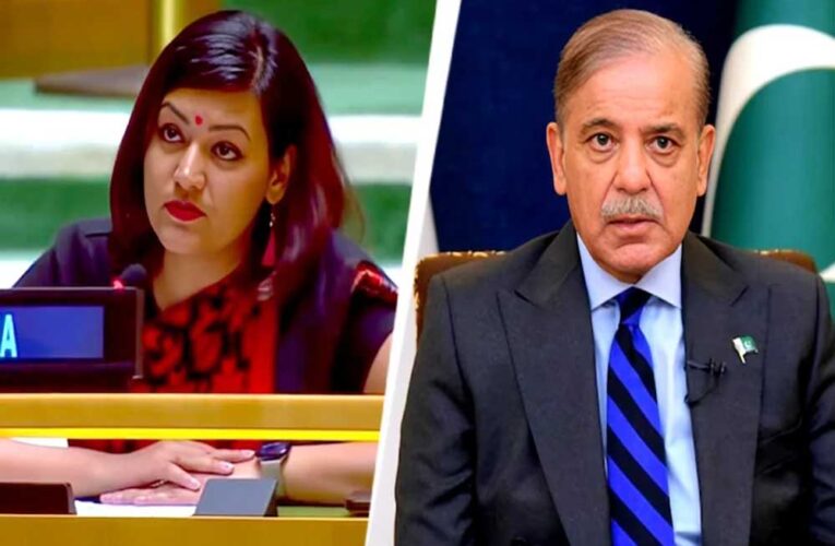 टूटा एयरबेस और जले हैंगर पर शहबाज की जीत? भारत ने UN में पाक को जमकर खरी-खोटी सुनाई