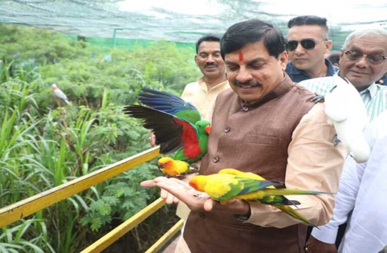 इंदौर प्राणी संग्रहालय में शिमोगा से आए चार जंगली भैंस, नए मेहमानों से मिलने पहुंचे मुख्यमंत्री यादव