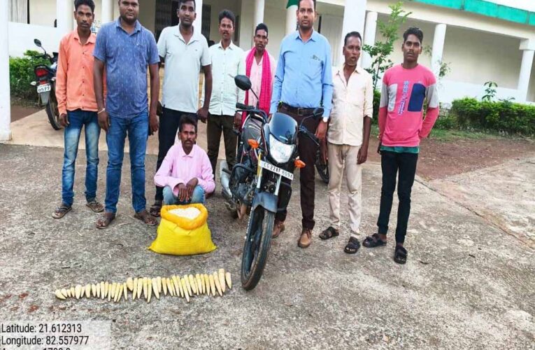 रायपुर : बांस करील के अवैध परिवहन पर कार्रवाई आरोपी गिरफ्तार