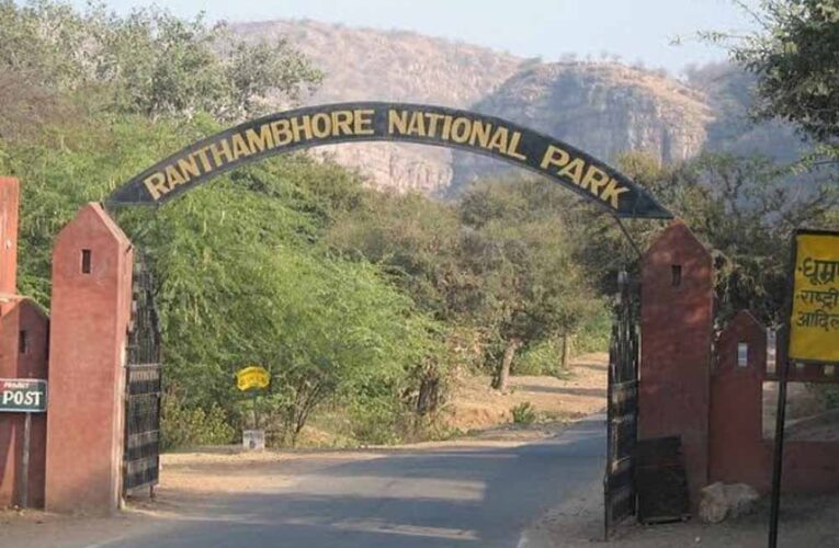 रणथंभौर में निगरानी पर संकट: 12 में से 11 ई-कैमरे ठप