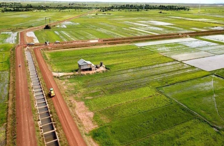 रायपुर : कंजी और लोकल नाला पर सिंचाई योजना के कार्यों के लिए 5.56 करोड़ रूपए से अधिक की राशि स्वीकृत