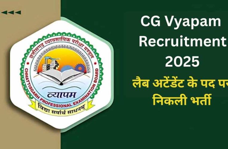 छत्तीसगढ़ व्यावसायिक परीक्षा मंडल ने निकाली भर्ती, वार्ड बॉय और आया के 100 पद खाली