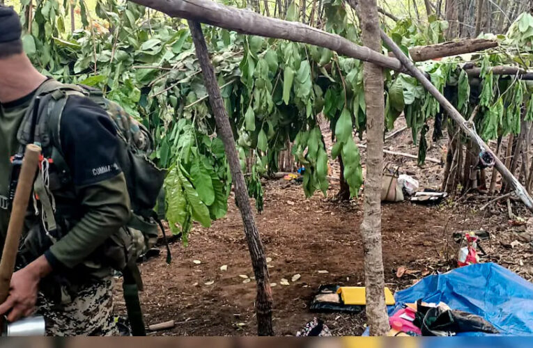 बीजापुर-कांकेर बॉर्डर पर मुठभेड़, 4 नक्सली ढेर — दो महिला माओवादी भी शामिल, हथियार बरामद