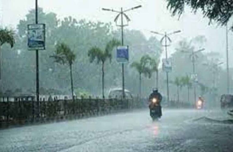 अगले 48 घंटे: इन जिलों में बारिश का यलो अलर्ट, मौसम विभाग ने जारी की चेतावनी