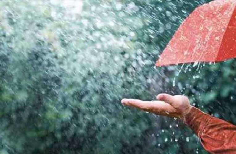 दक्षिणी जिलों में मानसून सक्रिय, बड़ी सादड़ी में 74 मिमी बारिश दर्ज