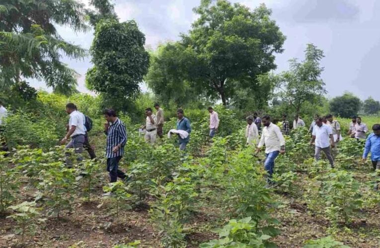 MP में जुड़वां नवजातों की मौत: 15 दिन बाद कब्र से निकाला गया बच्चे का शव, पोस्टमार्टम से खुलेंगे राज