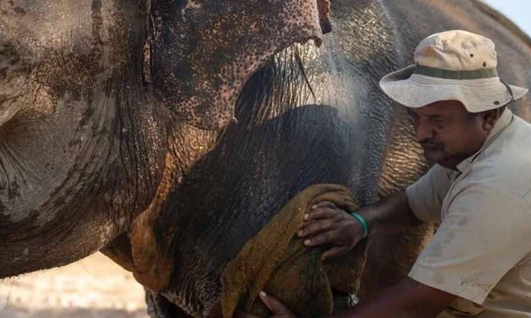 सुप्रीम कोर्ट की मुहर: जामनगर वन्यजीव संरक्षण के लिए सबसे उपयुक्त स्थल