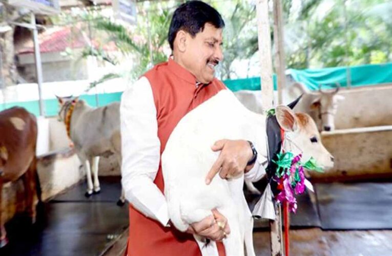 मुख्यमंत्री डॉ. यादव ने नवजात बछिया का किया नामकरण
